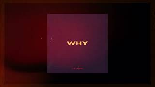 Le John - Why Official Audio