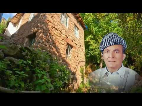 محمد عارف جزراوي يادئ