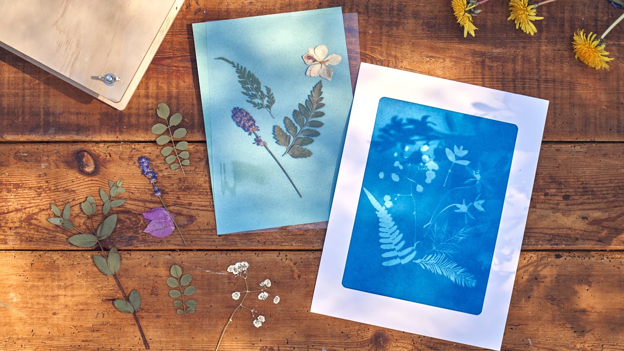 Cyanotype prints for beginners