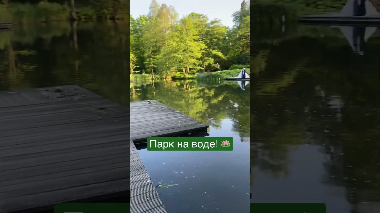 Парк на воде! 🪷 