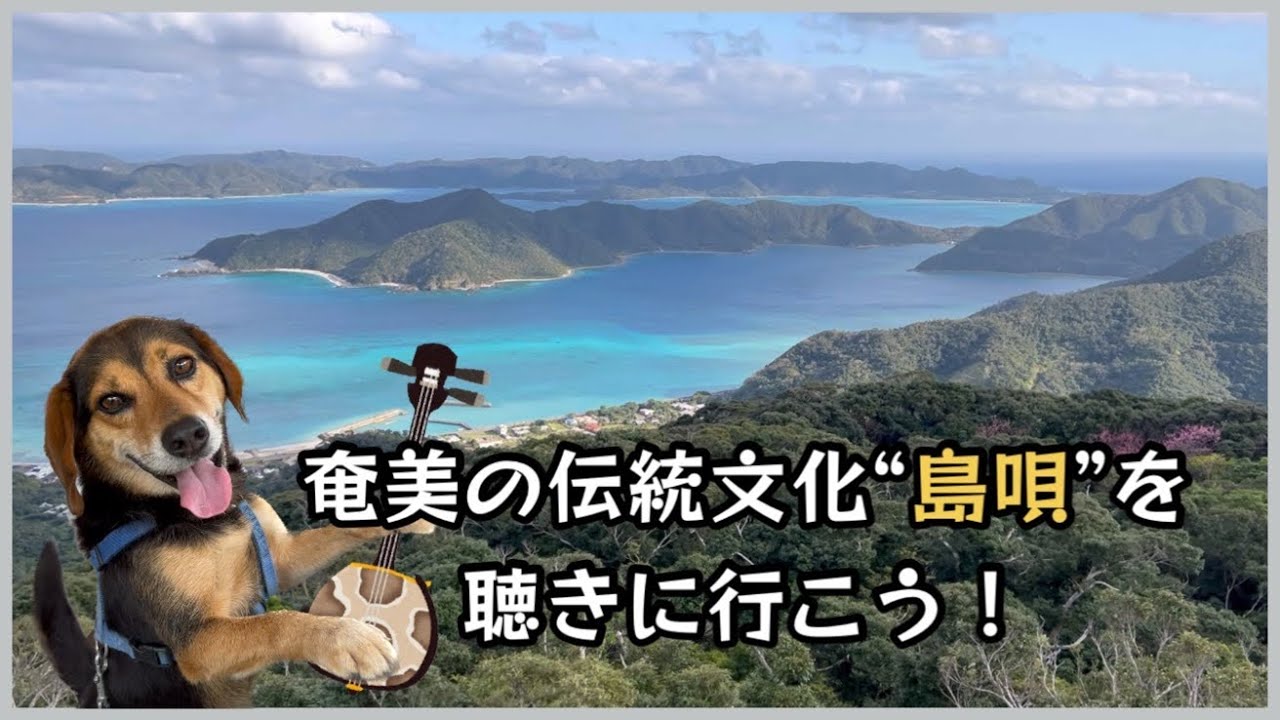 【奄美島唄】島んちゅ会　でぃ・ま〜じんま！（皆さん、ご一緒に）#奄美大島 #島唄 #beagle