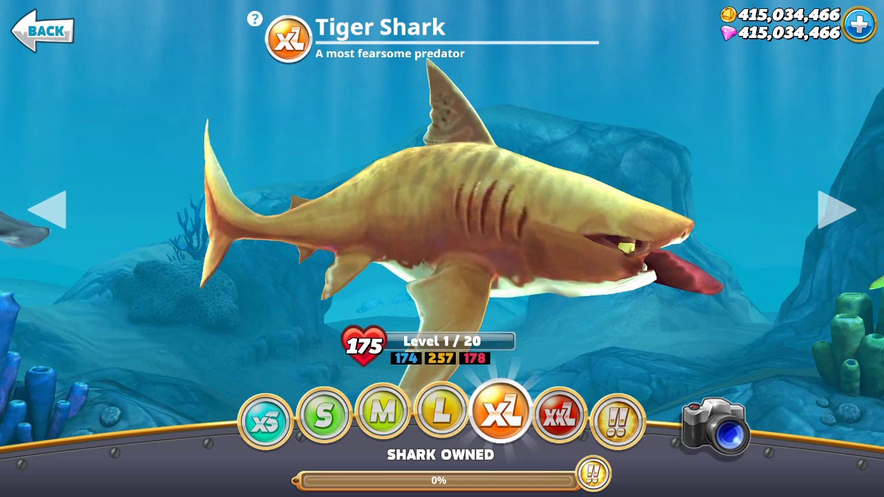 Игра shark взломка. Тигровая акула Хангри Шарк. Хангри Шарк ворлд 5.3.0. Акула из Хангри Шарк. Хангри хак ворлд.