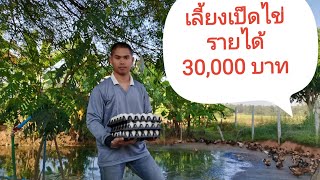 แชร์​ประสบการณ์​เลี้ยงเป็ดไข่รายได้​ 30,000​ บาทต่อเดือน​ หักแล้วเหลือกี่บาท????