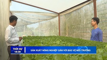 Sản xuất nông nghiệp gắn với bảo vệ môi trường | TayNinhTV