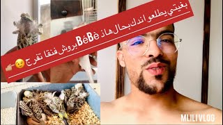 ها كفااااش تخلي bébé بروووش ??في صحة جيدة(النضافة من البقاية ديلوم ) ?