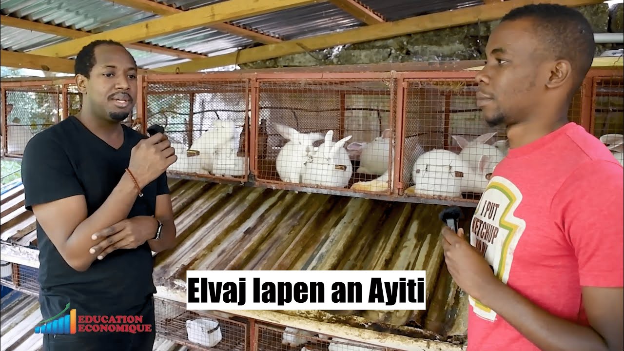 Elvaj lapen an Ayiti