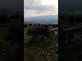 ميدان الغزال ميدان الغزال