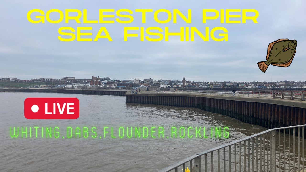 Gorleston Pier Sea Fishing Live, Whiting, Dabs, A Flounder and a Rockling caught 👍