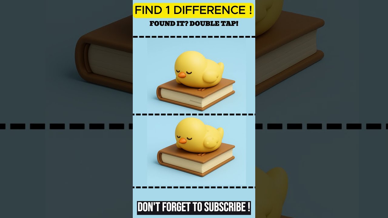  Can You Catch The 1 Hidden Change