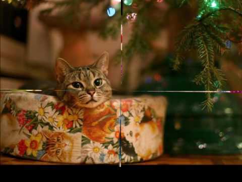 Amy Grant - Rockin' Around The Christmas Tree - YouTube Amy Grant - Rockin' Around The Christmas Tree - Amy Grant - Rockin' Around The Christmas Tree - YouTube