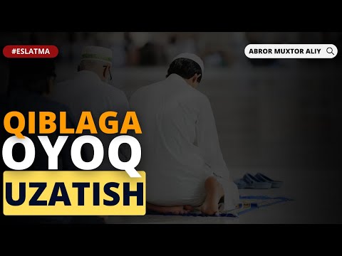 Video: Shimolga qaragan derazalardagi uy o'simliklari - kam yorug'lik oynalarini yoqtiradigan yopiq o'simliklar