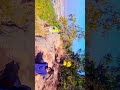 Mor jungle mera jungle bahut Achcha