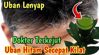 UBAN HILANG SELAMANYA TANPA SEMIR RAMBUT !! CARA MENGHITAMKAN UBAN DENGAN DAUN PEPAYA