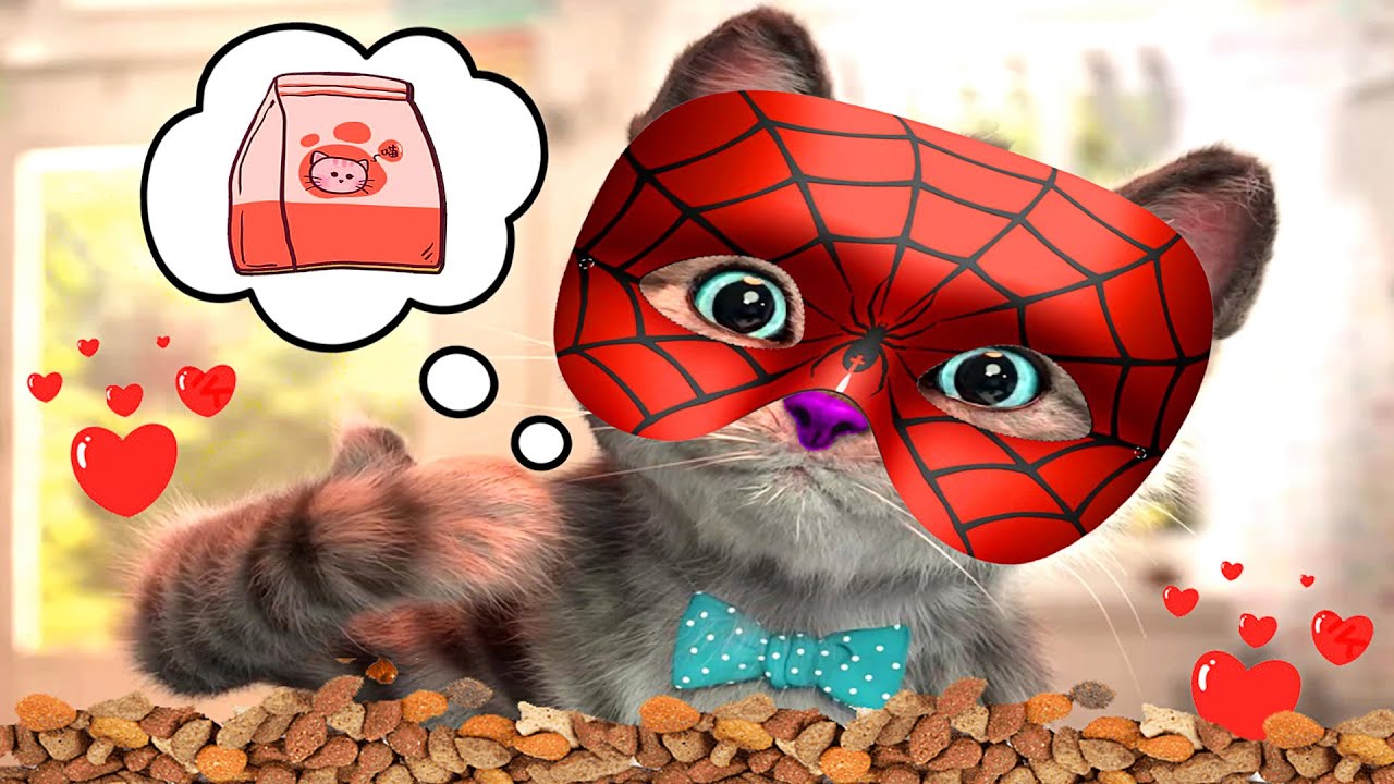 Play Fun Cute Kitten Pet Care Play Fun Cute Kitten Pet Care