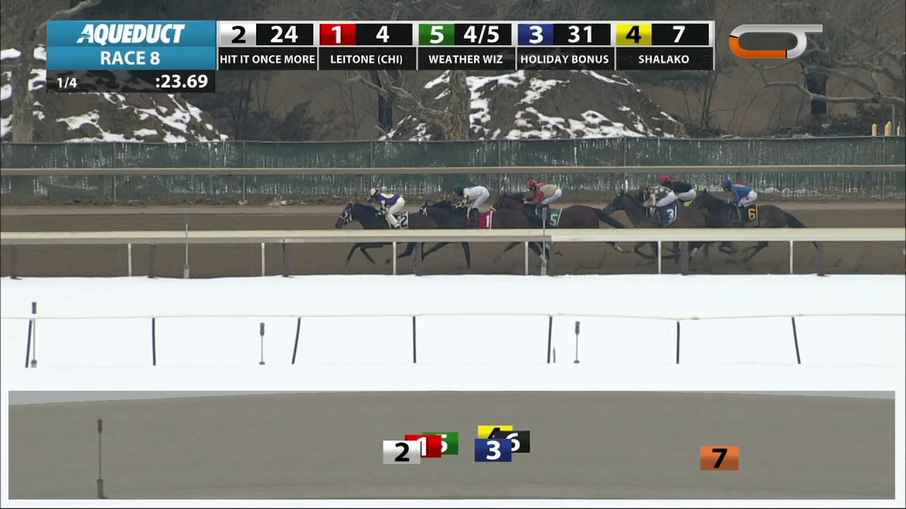 horse racing news Royal Albert Hall - 2019 - The Bernardini Stakes en Espanol
