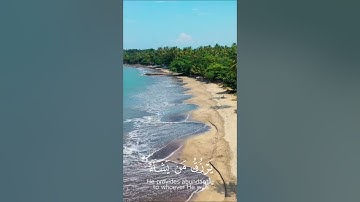 الله لطيف بعباده بصوت القارئ الشيخ ياسر الدوسري