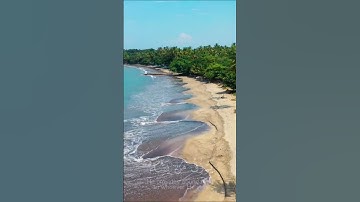 الله لطيف بعباده بصوت القارئ الشيخ ياسر الدوسري