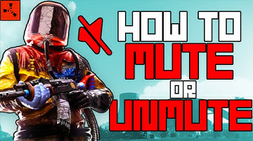 How to Mute or Unmute a Player in Rust - Scalacube
