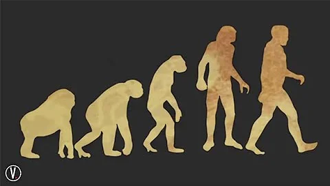 This is why Evolution is WRONG!