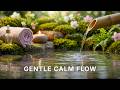 Gentle Bamboo Water Flow &amp; Soft Ambient Music for Deep Relaxation, Calm Mind &amp; Peaceful Sleep 🌿