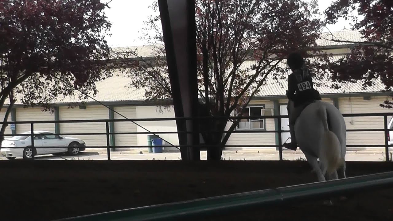 Count the Stars October 2013