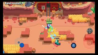 shelly 20 rank
