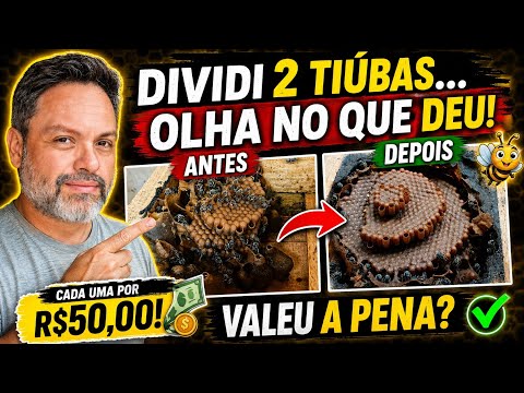 Após 2 meses, olha como estão as divisões das tiúbas de 50 reais