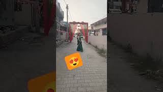 Saree Walk