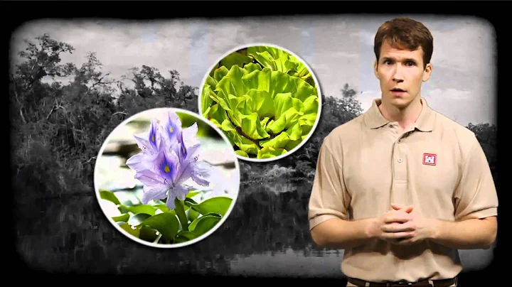 USACE "Invasive Species" Educational Video (Clip)