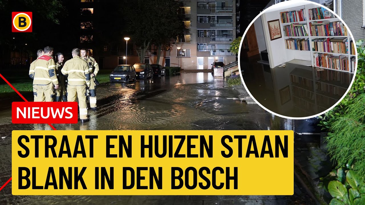 Gesprongen leiding zet huizen blank | Omroep Brabant