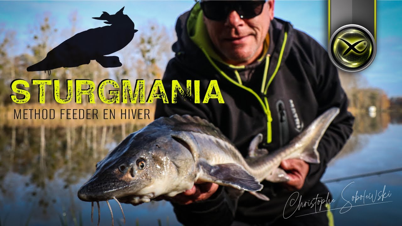Strugmania - Pêche au method feeder en hiver avec Christophe Sobolewski - Matrix Fishing TV France