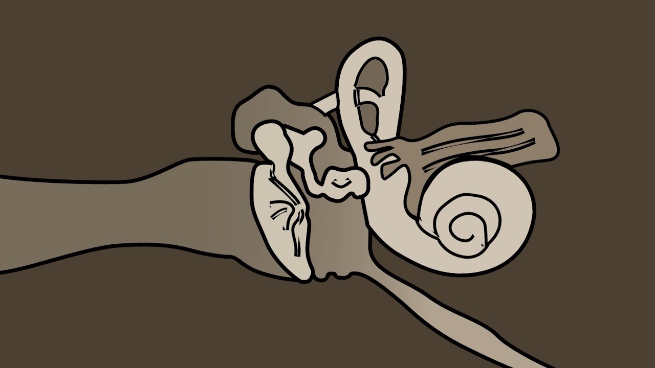 От барабанной перепонки к барабанной перепонке 👂 ASMR