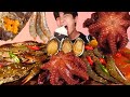 ENG SUB)Soy Sauce Marinated Octopus,Crab,Shrimp,Abalone Eat Mukbang🦀Korean ASMR 후니 Hoony Eatingsound
