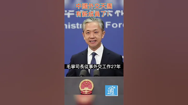 中国外交部新任发言人亮相！外交天团又多一名大将👍 #外交部 #毛宁 #华春莹 - 天天要闻