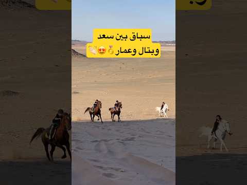 سباق بين الفرسان الصغار خيل اكسبلور Happy الخيل سعد الخيال الصغير اكسبلور ترند 