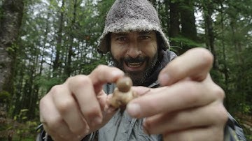 Mushroom Adventure Recap | Primal Survivor