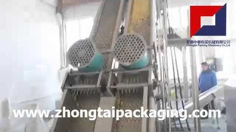 Automatic Bean Sprouts Packaging Machine