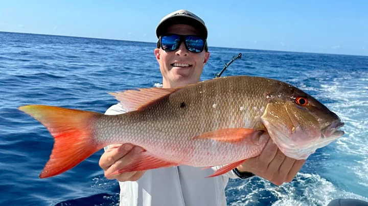 Trolling For Mutton Snapper, Tuna, & Kings (Catch Clean & Cook)