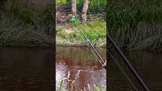 Рыбалка в лесу#рыбалка # #2025 #клюет #окунь #донка #плотва #ёрш #fishing #фидер #
