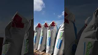 ⏰ Not long left to plant Winter Linseed