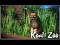 Cougarageous Cats | Koali Zoo | Planet Zoo Collab | Ep. 43