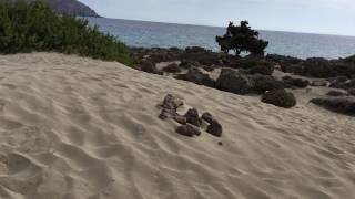 Kedrodasos Beach - Crete