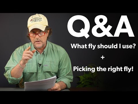 Q&A | #17 - How to pick the right fly + What flies you should use!