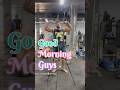 Body Transformation Day-30#ytshorts#motivation#bodytransformation#fitness#tricepsworkout#trending