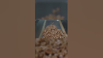 In-depth experience of our walnut factory-02😀