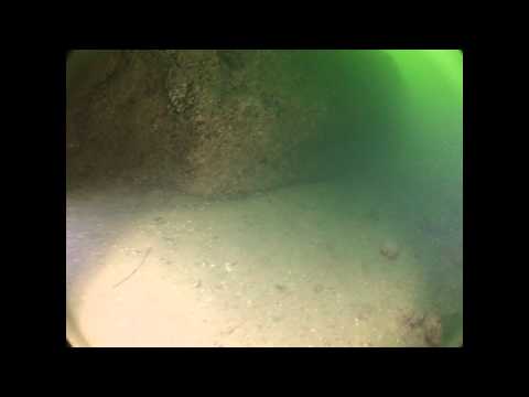 plongee pierre a bise lac du bourget.wmv
