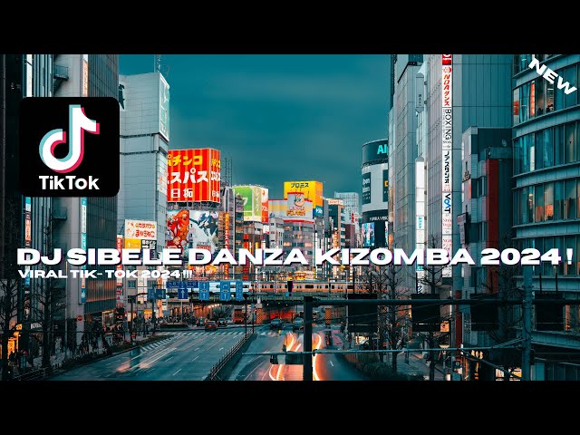 DJ DANZA SIBELE REMIX VIRAL TIK-TOK 2024!! class=