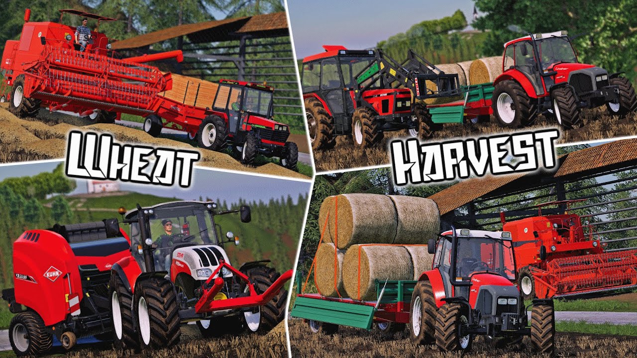 |FS19| - Wheat harvest 2021 in Slovenia - [Multiplayer]