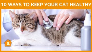 10 Ways to Keep Your Cat Healthy | Cat Care Tips For Beginners | Pets Guideline by Pets Guideline 49 views 1 year ago 7 minutes, 35 seconds