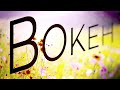 Bokeh a definitive guide to some of the most fascinating effects in photography
